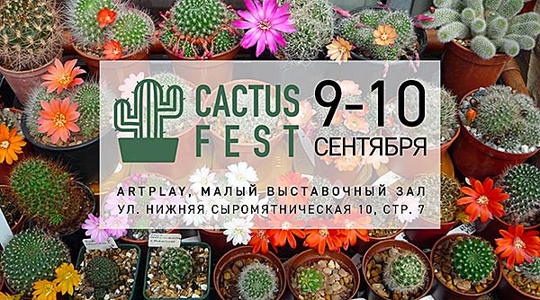 Первая профессиональная ярмарка кактусов и суккулентов для дома и дачи.